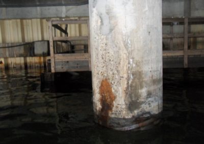 Sample Project – 1 Evaluation of Infrastructure at a Port Facility on the Gulf Coast, USA; Inspection of individual concrete piles and documenting defects.