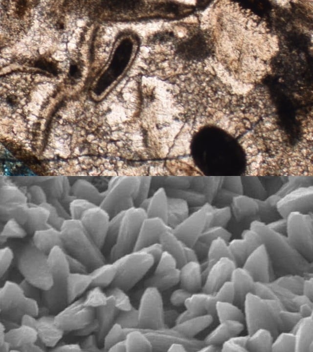 Forensic Investigation<br />
